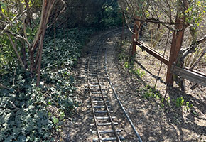 Blooming gardens at Descanso – peaceful nature date near Los Angeles