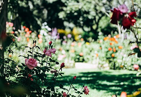 The Getty Center gardens and skyline view – perfect art date in LA 2025