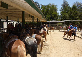 Horseback riding trails in Griffith Park – unique romantic date idea