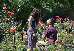 Japanese garden at The Huntington – elegant botanical date near LA